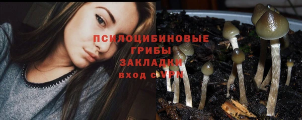 ГАЛЛЮЦИНОГЕННЫЕ ГРИБЫ Алексеевка