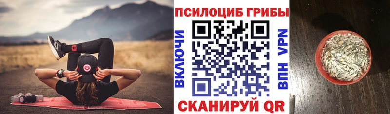 omg ССЫЛКА  Чусовой  Галлюциногенные грибы мухоморы 