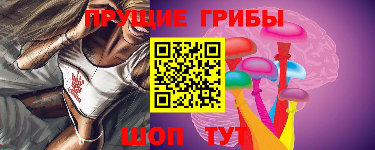 дарнет шоп  Чусовой  Псилоцибиновые грибы прущие грибы 